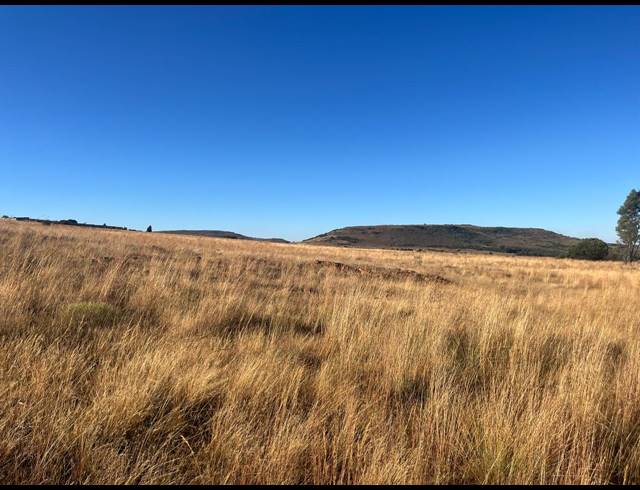 10,320M² VACANT LAND FOR SALE IN WALKERVILLE MANOR